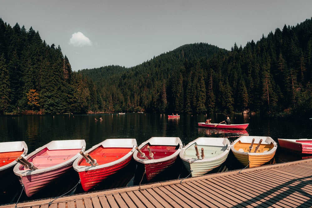 barques multicolores au bord de l'eau