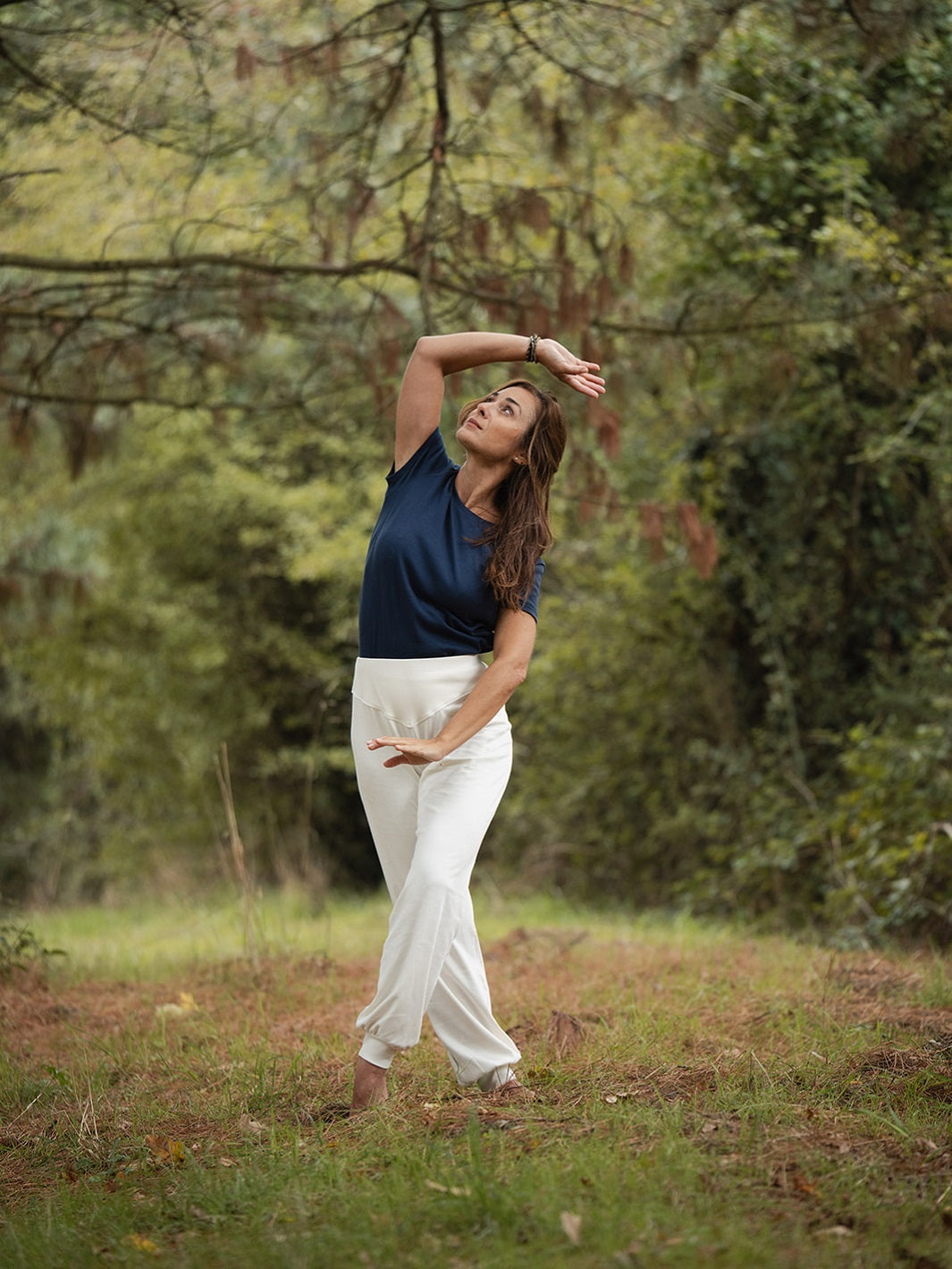 t-shirt pelican marine coton biologique