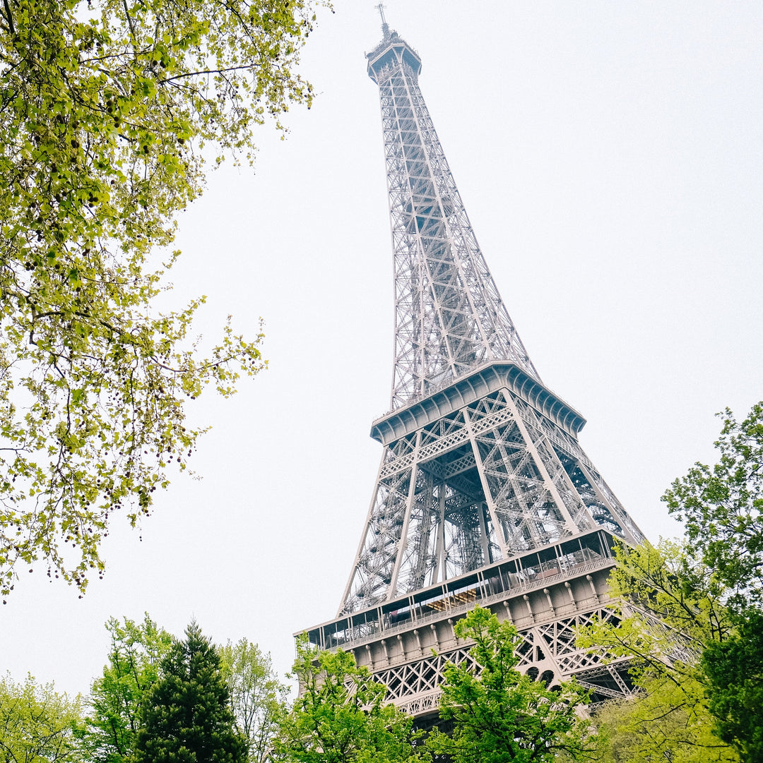 tour Effel et arbres