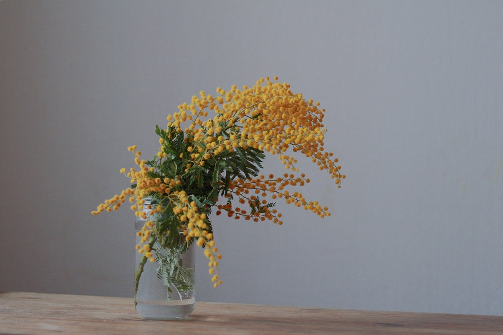 bouquet de mimosa sur une table